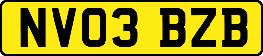 NV03BZB