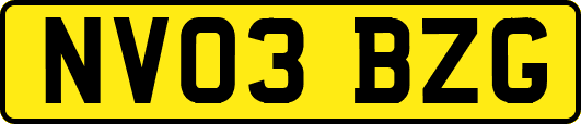 NV03BZG