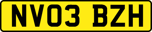 NV03BZH