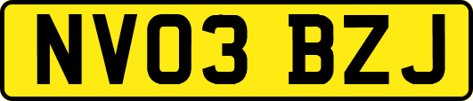 NV03BZJ