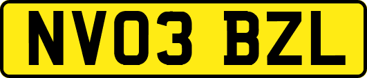 NV03BZL