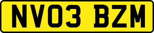 NV03BZM
