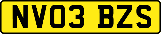 NV03BZS