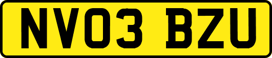 NV03BZU