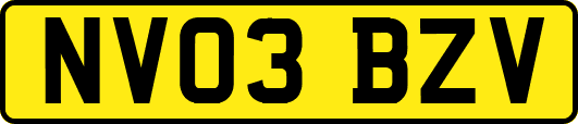 NV03BZV