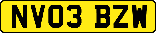 NV03BZW