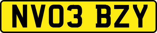 NV03BZY