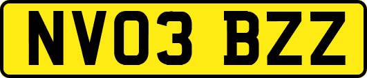 NV03BZZ