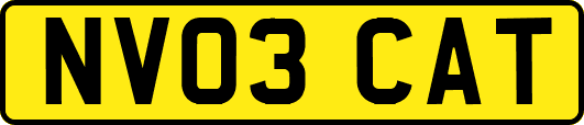 NV03CAT