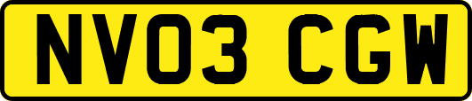 NV03CGW
