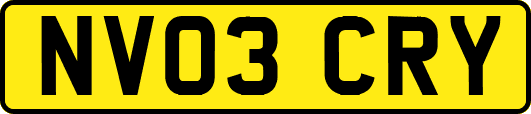 NV03CRY