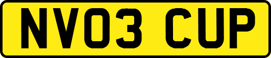 NV03CUP