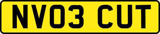 NV03CUT