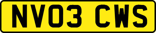 NV03CWS