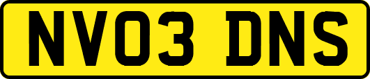 NV03DNS