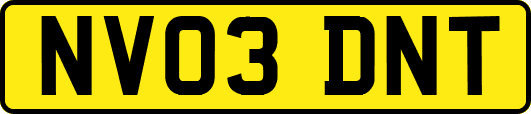 NV03DNT