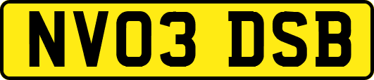 NV03DSB