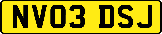 NV03DSJ