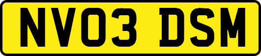NV03DSM