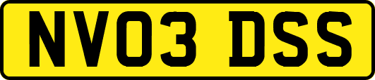 NV03DSS