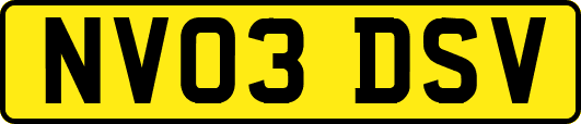 NV03DSV