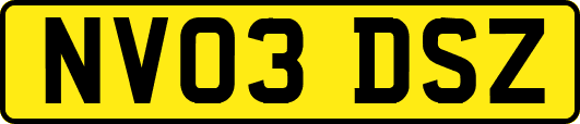 NV03DSZ