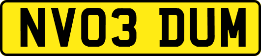 NV03DUM