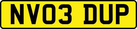 NV03DUP
