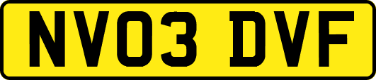 NV03DVF