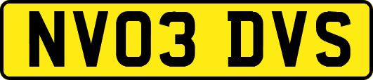 NV03DVS