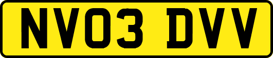 NV03DVV