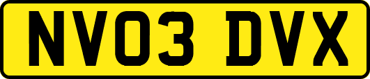NV03DVX