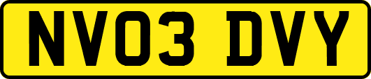 NV03DVY