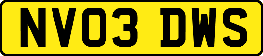 NV03DWS