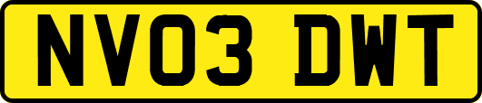 NV03DWT