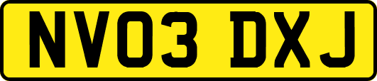 NV03DXJ