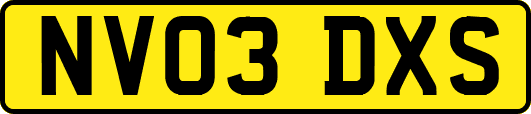 NV03DXS