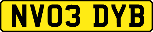 NV03DYB