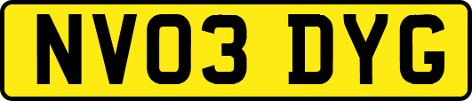 NV03DYG