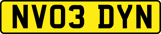 NV03DYN