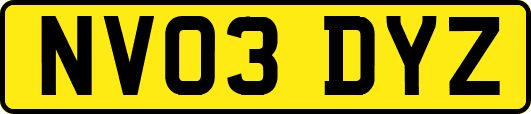 NV03DYZ