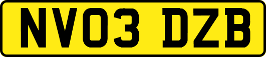 NV03DZB