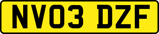 NV03DZF