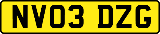 NV03DZG