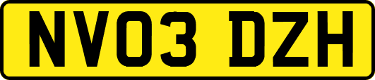 NV03DZH