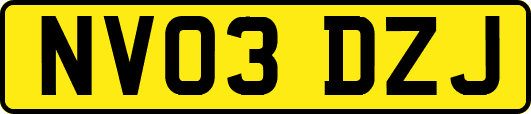 NV03DZJ