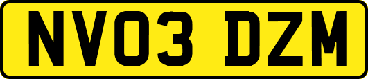 NV03DZM