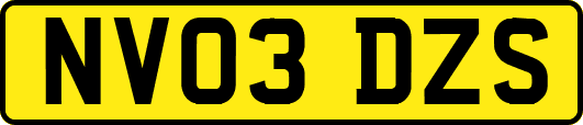 NV03DZS