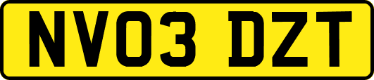 NV03DZT