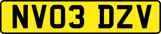 NV03DZV